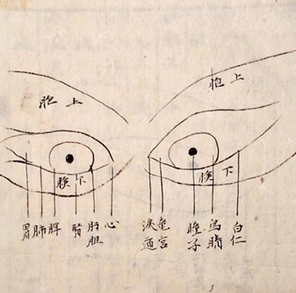 受け継がれた数々の医学資料
