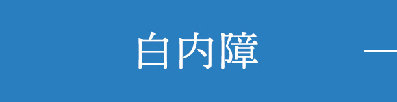 白内障
